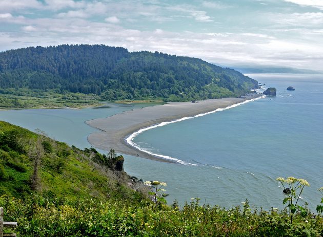 염분차발전 섬네일 WEC 에너지