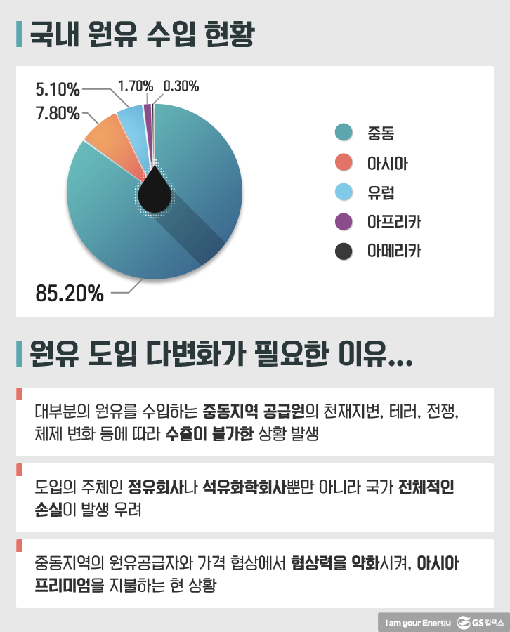 국내 원유 수입 현황, 원유 도입 다변화가 필요한 이유