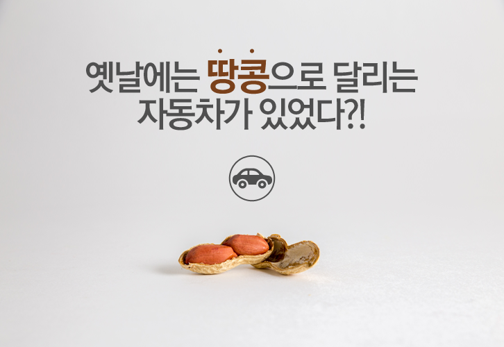 땅콩으로 달리는 자동차