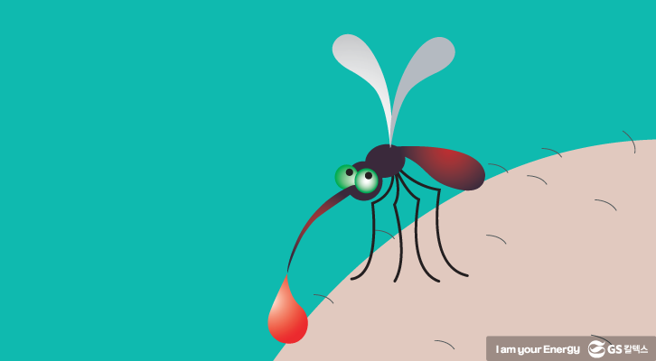 mosquito title MH 1 모기 생활 속 에너지, 캠페인