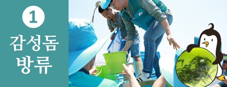 GS칼텍스 사회공헌 활동 1. 감성돔 방류
