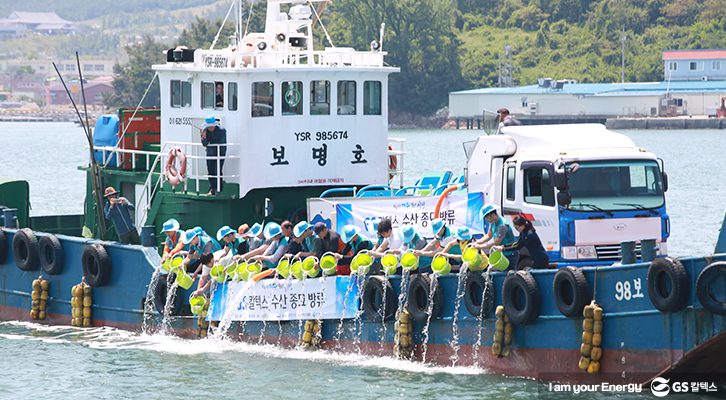 수산종묘방류가 진행되는 모습