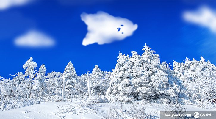 태백산 눈 축제
