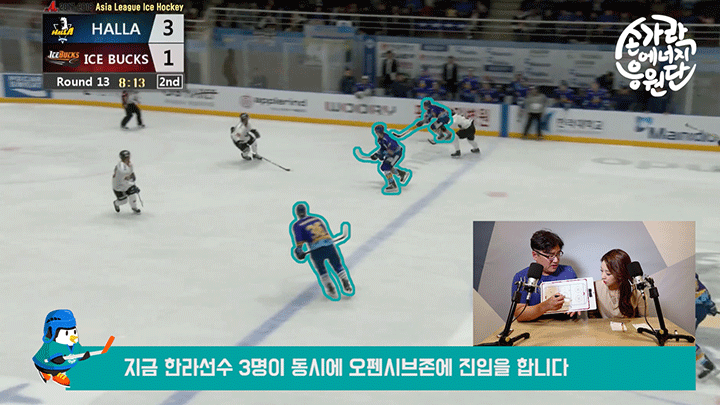 아이스하키 국가대표 경기, 관전포인트