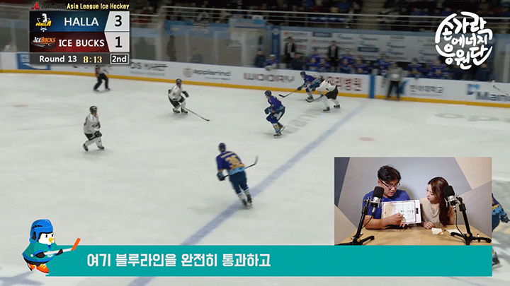 아이스하키 국가대표 경기, 관전포인트