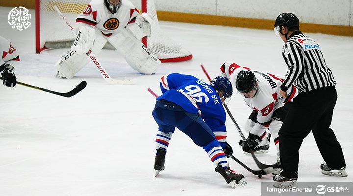아이스하키의 경기 규칙 및 선수구성, 국내실업팀 정보