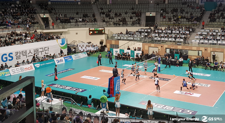 겨울데이트 배구경기