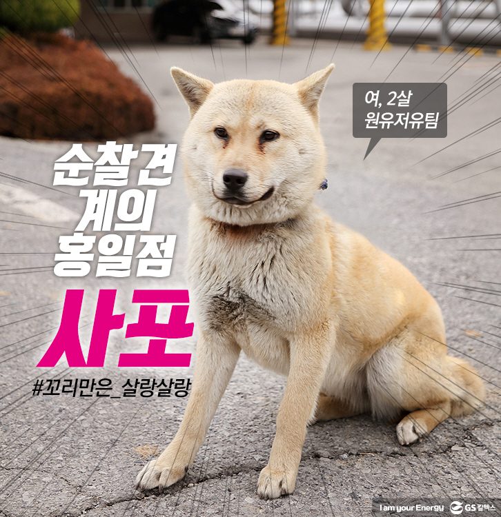 2018 jan dog 03 1월 기업소식, 매거진