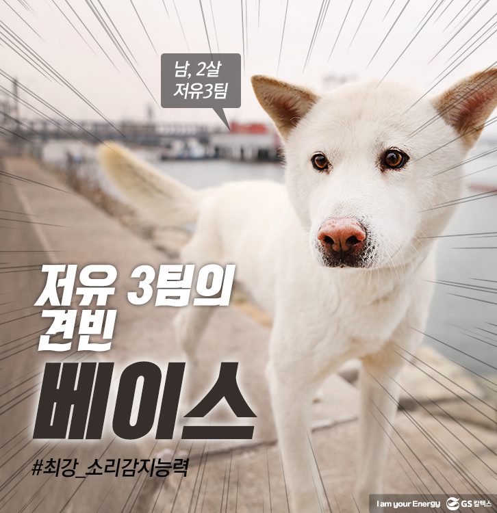 2018 jan dog 04 1 1월 기업소식, 매거진