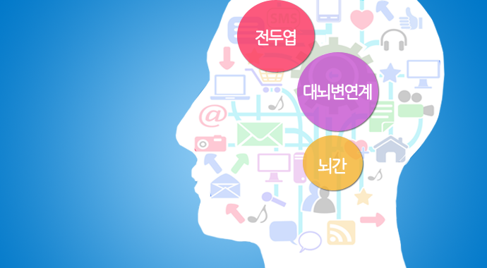 감정의 뇌에 대해 알아보자 