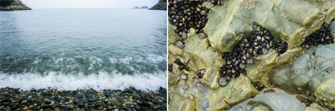 함목 몽돌해수욕장