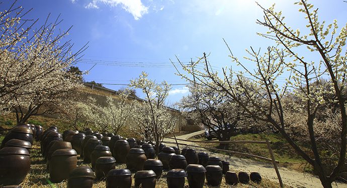 전통주의 미래가 밝은 이유