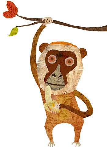 원숭이가 처음 술을 발명했다?