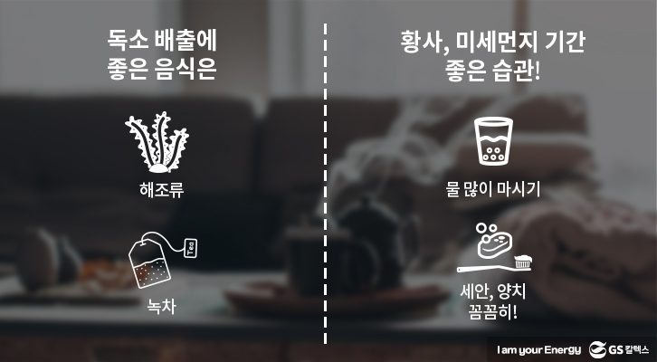 미세먼지 및 황사 예방 생활 습관