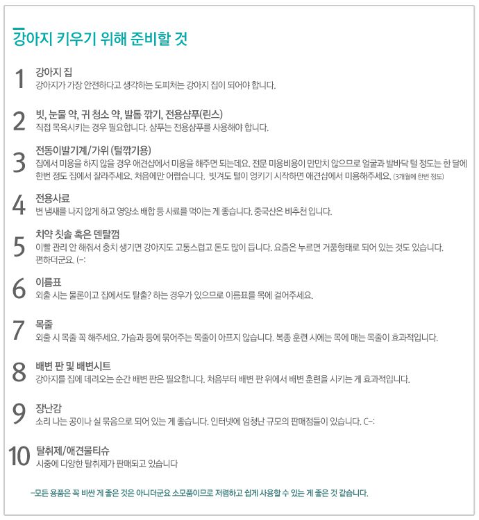 강아지 키우기 위해 준비할 것