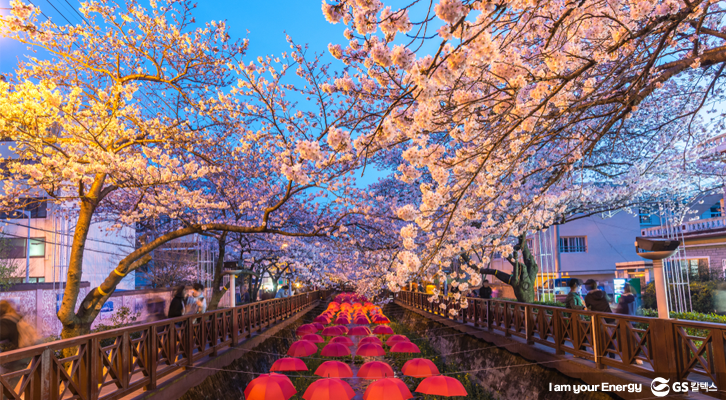 진해 군항제 밤 모습 