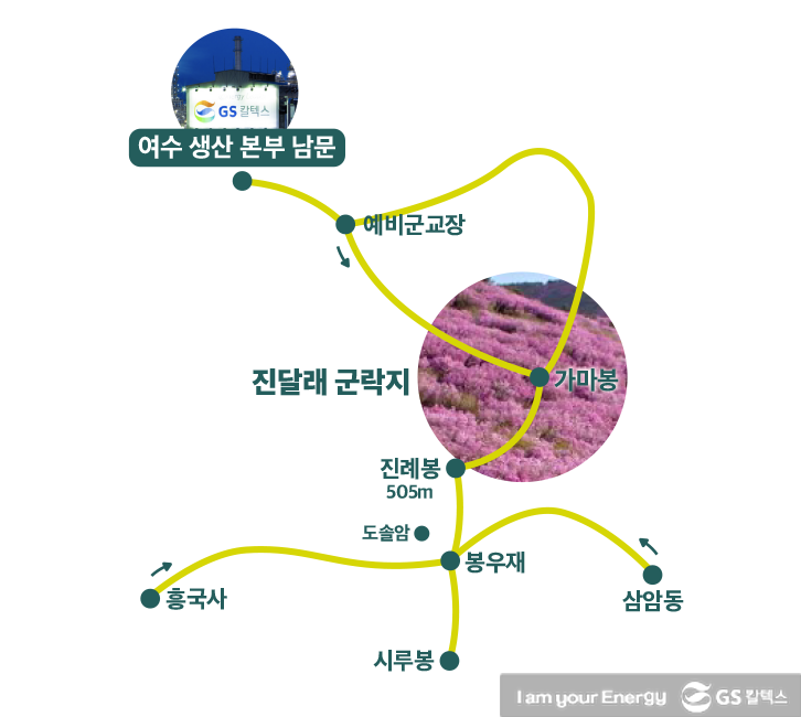 여수 영취산 진달래 군락지