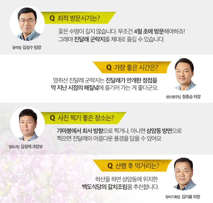 여수 공장 임직원이 알려주는 영취산 즐기는 꿀팁