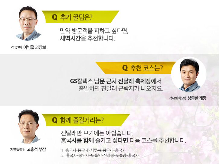 여수 공장 임직원이 알려주는 영취산 즐기는 꿀팁