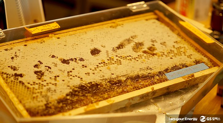 아뼤서울 벌집꿀 