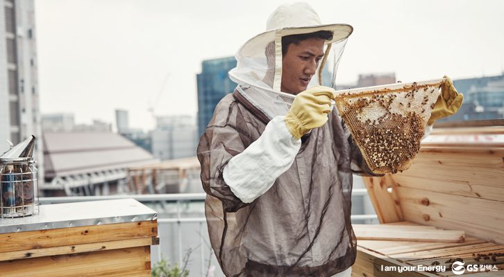 어반비즈서울 대표 박진