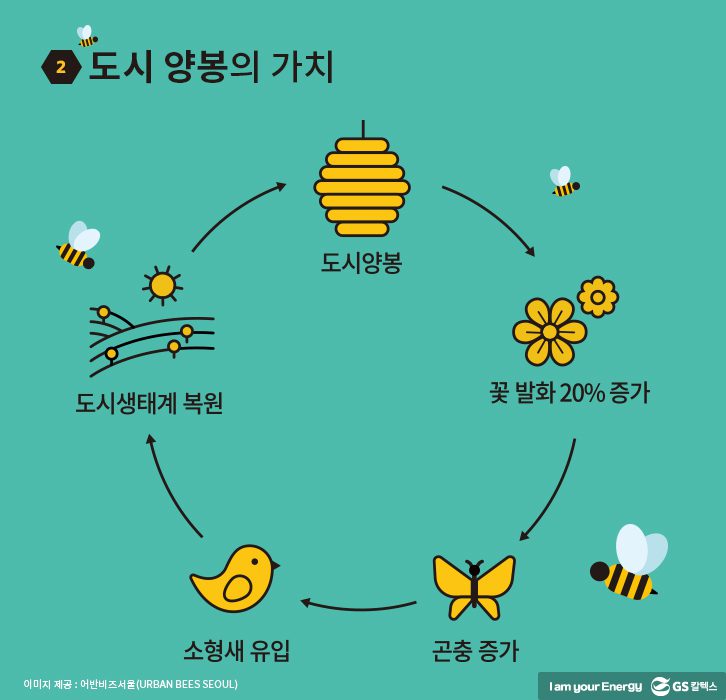 도시 양봉의 가치