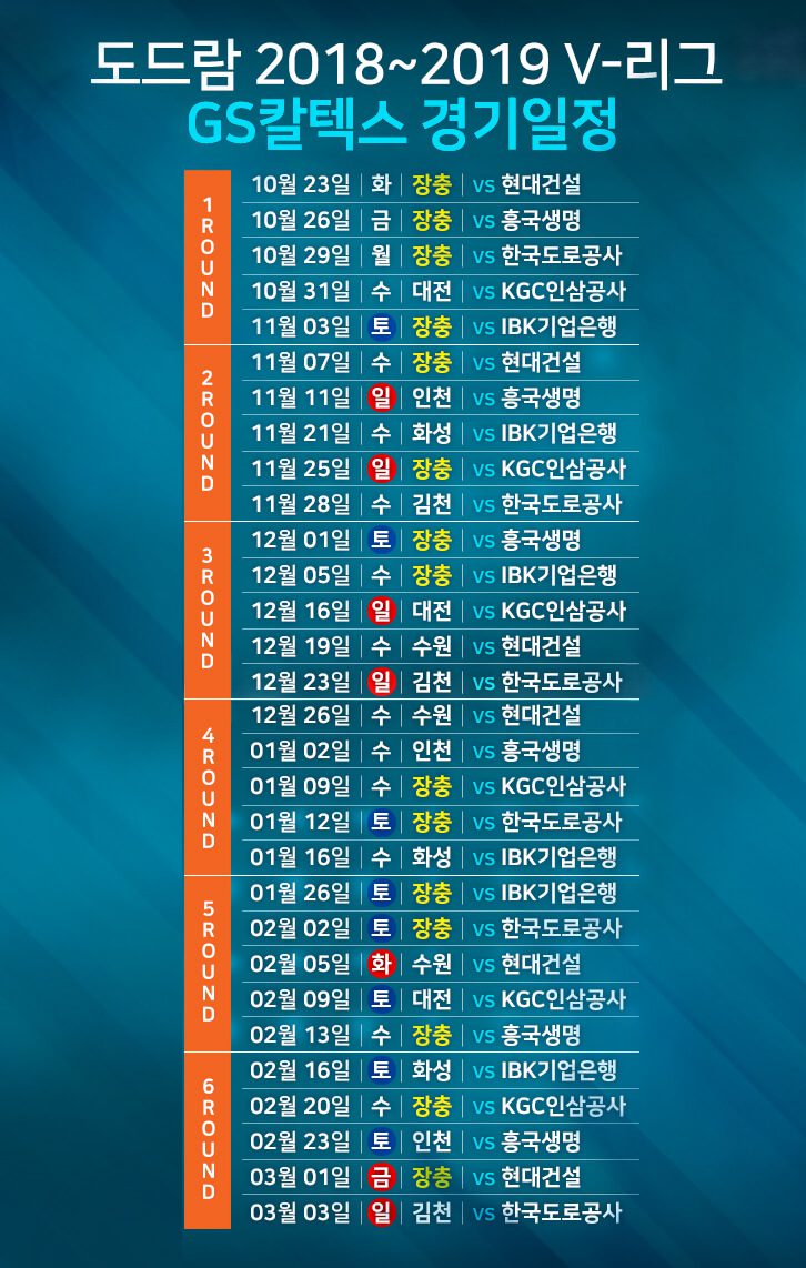 도드람 2018~2019 V-리그 GS칼텍스서울Kixx배구단 경기일정