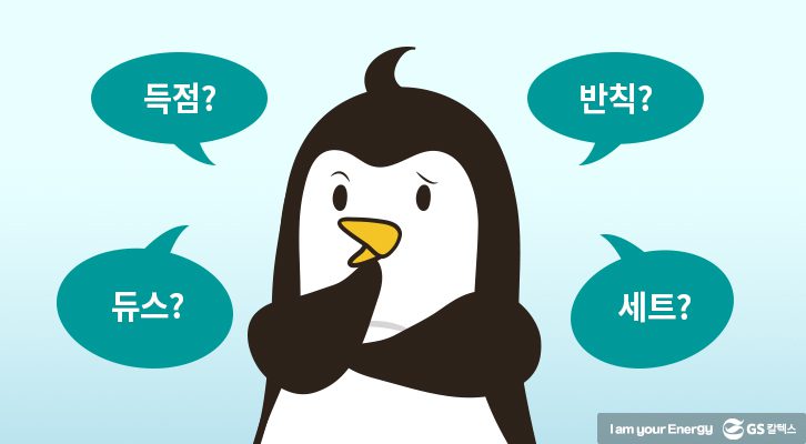 배구경기 규칙의 모든 것