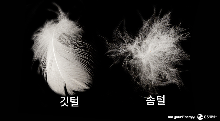 겨울옷 용어, 우모량, 깃털, 솜털, 덕다운, 구스다운