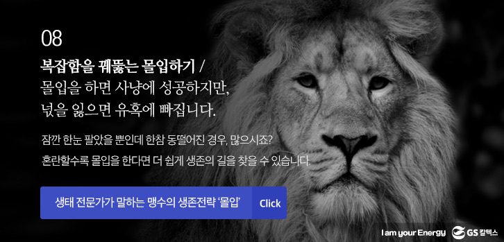 gs칼텍스사보, 전문가칼럼