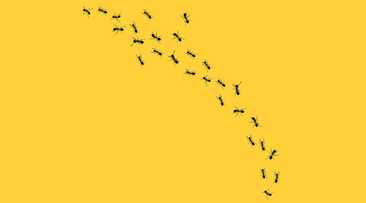 gs칼텍스, gs칼텍스사보, 조직의힘