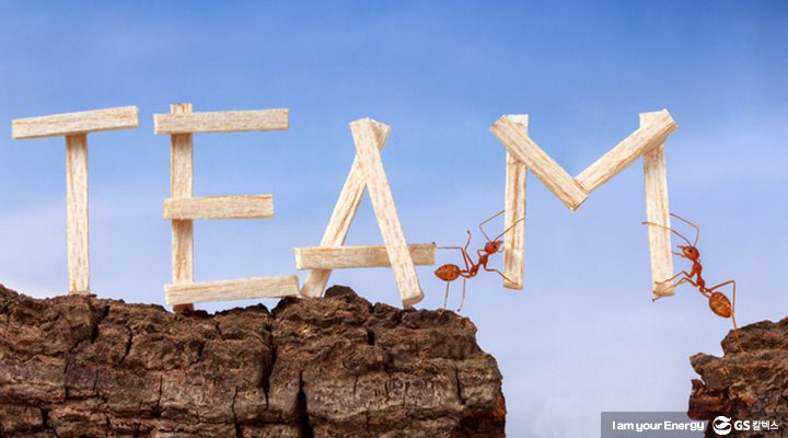 gs칼텍스, gs칼텍스사보, 조직의힘