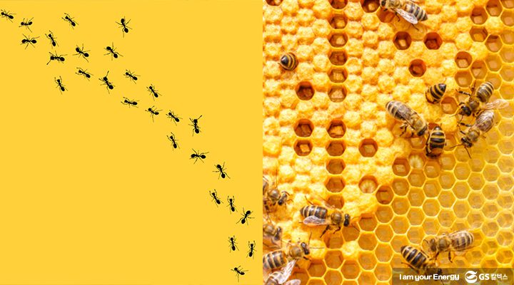 노란 배경 위에서 개미와 꿀벌들이 각자 조직을 이루고 있는 모습