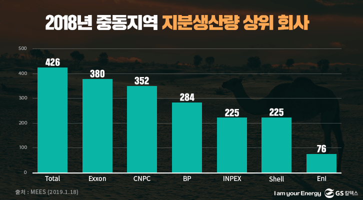 2018년 중동지역 지분생산량 상위 회사