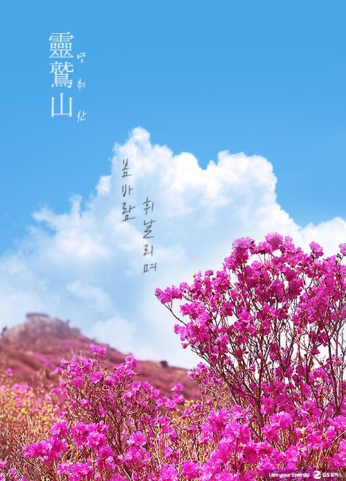 gs칼텍스, gs칼텍스사보, 영취산, gs칼텍스여수, 벚꽃, 영취산진달래