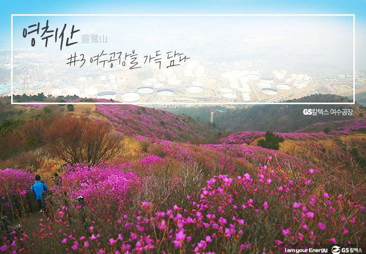 gs칼텍스, gs칼텍스사보, 영취산, gs칼텍스여수, 벚꽃, 영취산진달래