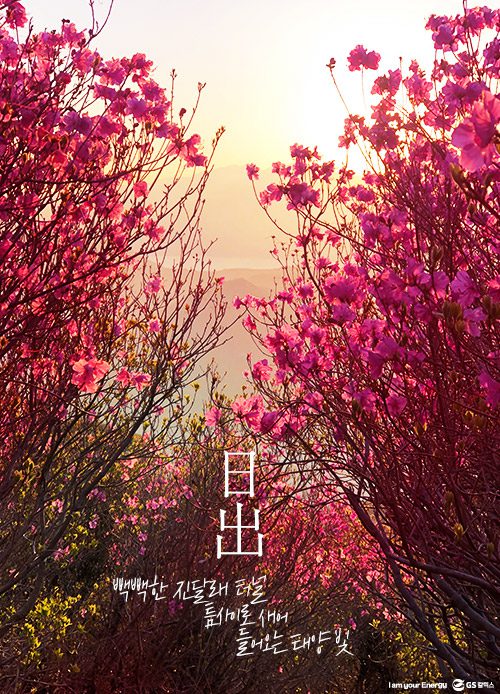 gs칼텍스, gs칼텍스사보, 영취산, gs칼텍스여수, 벚꽃, 영취산진달래