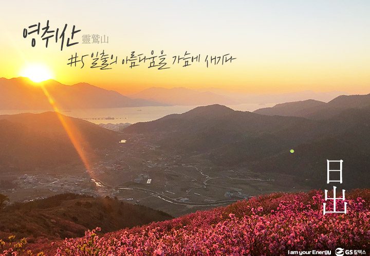 gs칼텍스, gs칼텍스사보, 영취산, gs칼텍스여수, 벚꽃, 영취산진달래