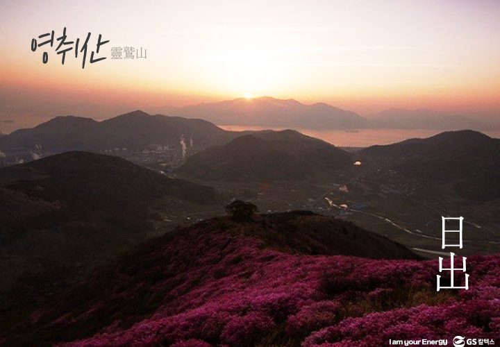 gs칼텍스, gs칼텍스사보, 영취산, gs칼텍스여수, 벚꽃, 영취산진달래