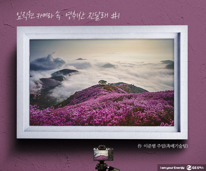 gs칼텍스, gs칼텍스사보, 영취산, gs칼텍스여수, 벚꽃, 영취산진달래