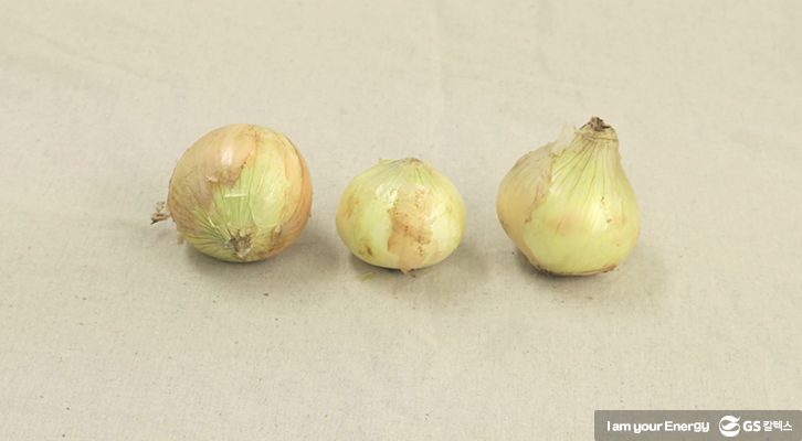 양파 보관법