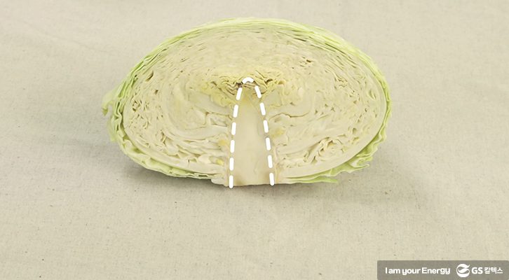 양배추 보관법