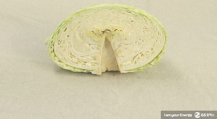 양배추 보관법