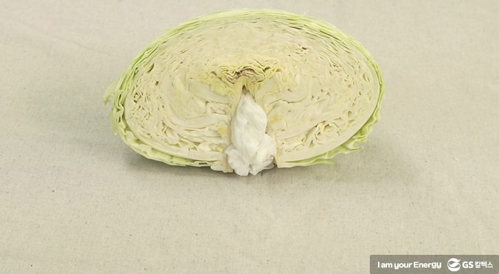 양배추 보관법