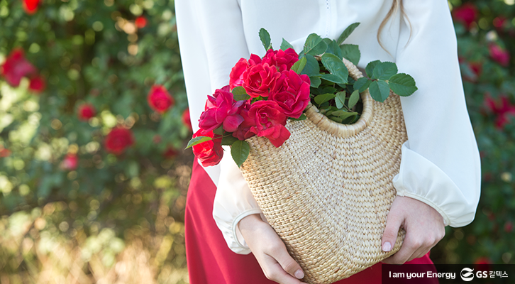 장미 꽃말, 로즈데이, 붉은 장미 꽃말