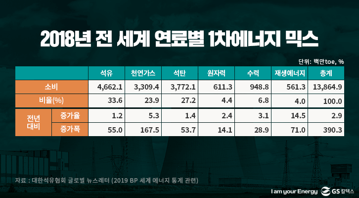 2018년 전 세계 연료별 1차에너지 믹스 