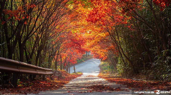 gs칼텍스, gs칼텍스사보, 하비인더GSC, 직장인취미, 사진촬영