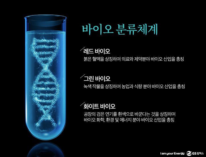 gs칼텍스, gs칼텍스사보, 바이오산업, 2-3BDO, 화장품원료, 부탄다이올