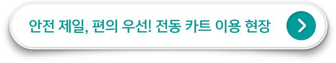 안전 제일, 편의 우선! 전동 카트 이용 현장