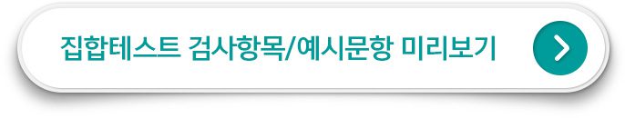 집합테스트 검사항목 및 예시문항 미리보기